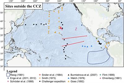 The Biodiversity and Distribution of Abyssal Benthic Foraminifera and Their Possible Ecological Roles: A Synthesis Across the Clarion-Clipperton Zone